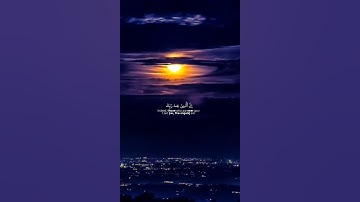 اكتب شيء تؤجر عليه 😴🤎 اذكر الله يذكرك #قران كريم بصوت القارئ ياسر الدوسري