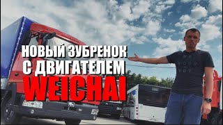 НОВЫЙ ЗУБРЕНОК МАЗ 437121. WEICHAI - БУДУЩЕЕ ЗАВОДА МАЗ?