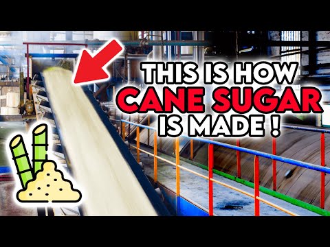 Videó: Mikor épült a cukorsüveg gát?
