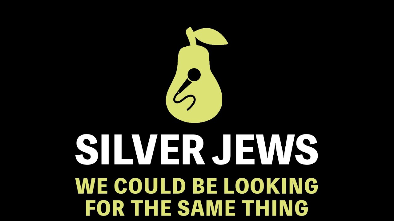 Silver Jews - We Could Be Looking for the Same Thing (Karaoke)