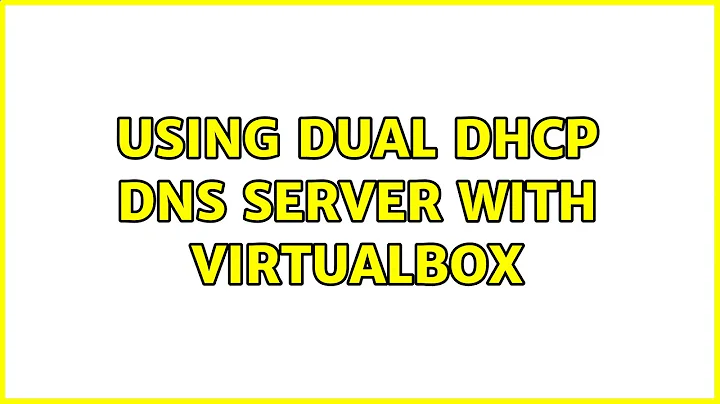 Using Dual DHCP DNS Server with VirtualBox (3 Solutions!!)