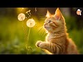 247 healing cat music  relaxing piano music for cats with purring sounds  sleepy cat