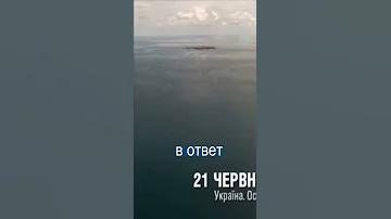 Россия покинула остров Змеиный: обе версии