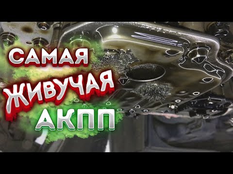 Сэкономили СТО ТЫСЯЧ РУБЛЕЙ! Замена масла в АКПП #киа #рио