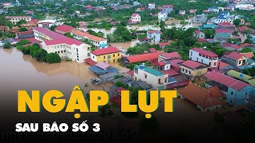 Flycam ngập lụt sau bão số 3 ở thủ phủ vải thiều Bắc Giang