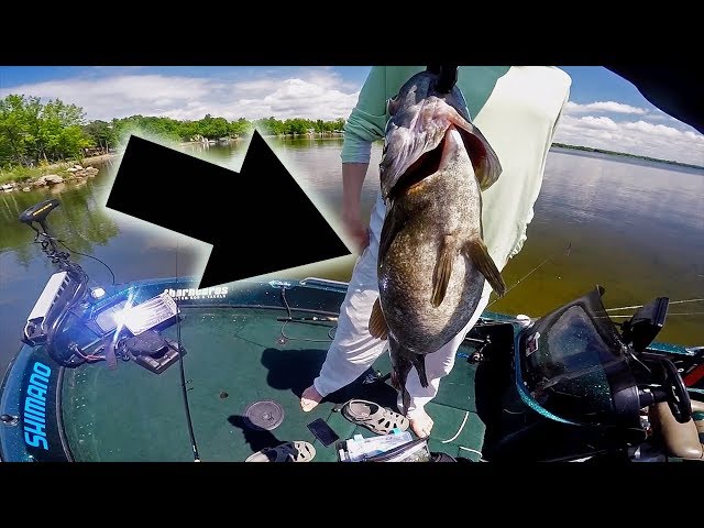 The BIGGEST Bass Tournament in the History of the World! 