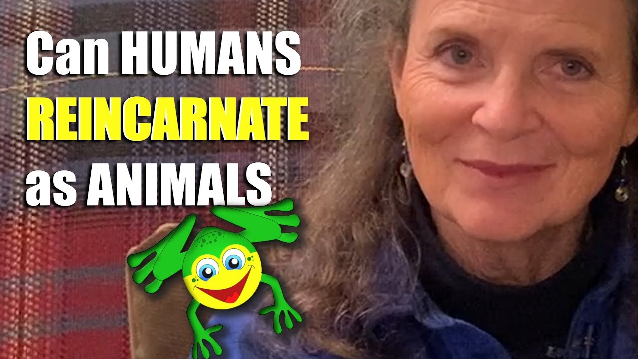 Can HUMANS Reincarnate as ANIMALS - a GOLDEN ONES ATLANTIS Video - YouTube