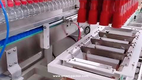 Automatic water bottle robot hand inserting cartoning machine for bulk bottle in one pack