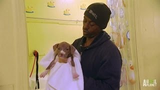 Meet Will, the Puppy Man | Pit Bulls and Parolees