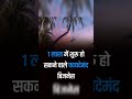 1 लाख मे शुरू होने वाले BUSINESS #meeshosupplier #meeshoseller #sellonmeesho
