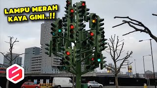 Setiap Orang Punya Lampu Lalu Lintas Di Badan 🚥 | Lagu Anak Indonesia | BabyBus Bahasa Indonesia