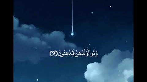 فلا تطع المكذبين القارئ سالم الرويلي تلاوة عطرة