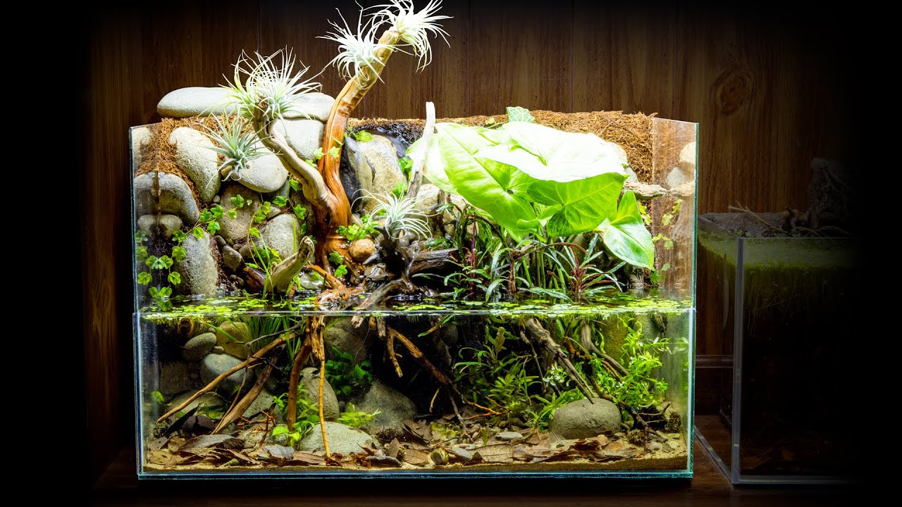 Nano Shrimp Waterfall Paludarium Made from Scrap Materials