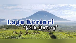 Lagu Kerinci || Ndih Datung || Voc by Nuradeli (versi lirik)