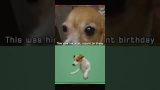 Try not to cry #1 😢  #dog #sad #animals #pets