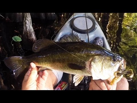 Go Pro: Kayak Fishing Rainbow River With Megan 