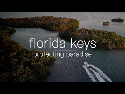 Video: Sää ja ilmasto Key Westissä, Floridassa