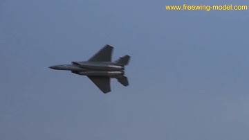 Freewing  F 14 tomcat VS F 15
