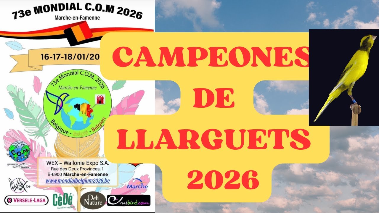 LLARGUETS  CAMPEONES DEL MUNDO