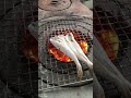 根室のコマイ一夜干し　キューキュー鳴いたら食べごろです