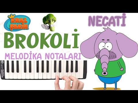 Kral Şakir - NECATİ BROKOLİ Melodika Notaları - Melodika Şarkıları