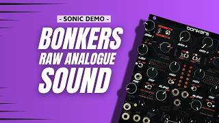 SonicDEMO:  Raw Analogue Sound Bonkers - Dual Drive, Distortion and EQ