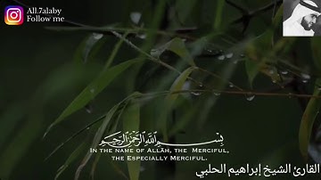 تلاوات خاطفة للقلوب | مقتطفات من صلاة العشاء | الفاتحة + سورة الشمس | القارئ الشيخ إبراهيم الحلبي