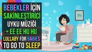 ♫ Bebekler İçin Sakinleştirici Uyku Müziği + ee ee Hu Hu ♫ Lullaby for Babies To Go To Sleep ♫