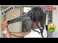 Taking out my 4 WEEKS OLD CORNROWS after using Aloe vera and rice water + before and after pic. WOW