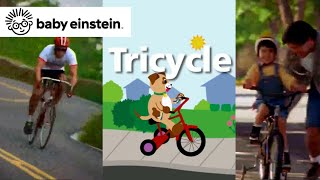 On the Go 🚴‍♂️ | Baby Einstein Classics | Toddler Learning Show | Car Music | Nap Time