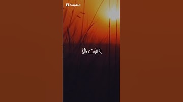 أرح قلبك قليلا مع أفضل تلاوة القرآن الكريم بصوت جميل اللهم اجعل القرآن ربيع قلوبنا ونور صدورنا