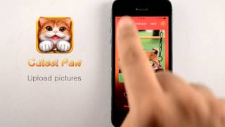 Cutest Paw iOS App Demo Cutest Paw iOS App Demo