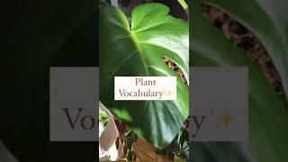 Plant Vocabulary!🪴 #indoorplants #plants #plantcare #howto #tips #houseplants #india  #ideas