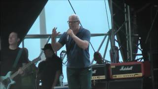 Bad Religion - Punk Rock Song - Live NovaRock 2014