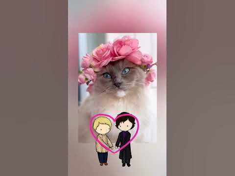 Тарапунька и Штепсель - YouTube