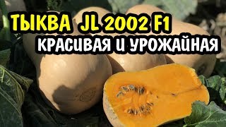 Тыква JL 2002 F1. Высокое содержание сахаров, оранжевый цвет, прекрасный вкус и аромат