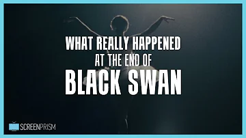 What Really Happened at the End of Black Swan?