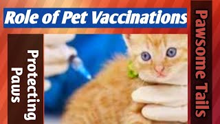 Watch My Adorable Kitten Vaccinated |  Visit to Vet- Pet Owner Must Know  #catlover #petcare #kitten by Animals and Pets  1,907 views 3 months ago 1 minute, 50 seconds