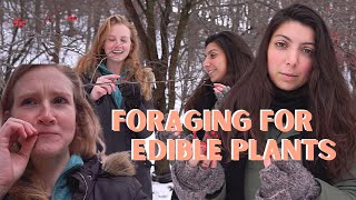 WINTER PLANTS//Foraging for Edible Plants in Upstate New York with Guest: Herbalist Jacalyn Meyvis