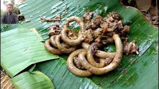 Jilbong songe da.alde ku,si onge cha,atjok suk ongpile.