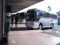 autobuses toluca y cd. altamirano