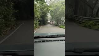 Naattuvayiyille Kattumoolunna