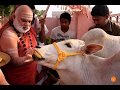 SRINGERI JAGADGURU BHARATHI THEERTHA SONG JAYADEVA BHAJAN