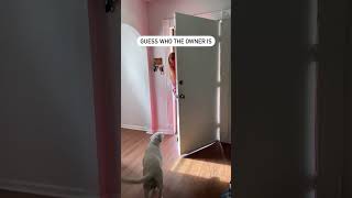 Guess The Owner Diamond Pet Foods