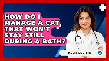 How Do I Manage A Cat That Won