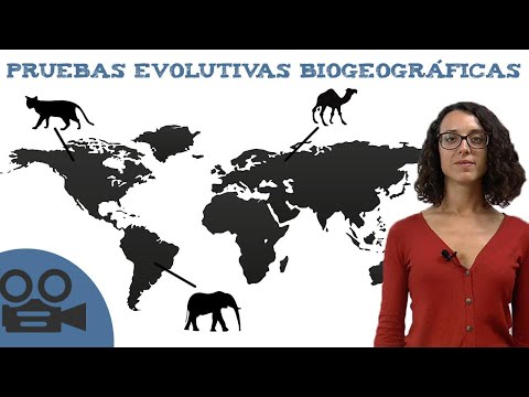 Vídeo: Qui va proposar la teoria de la biogeografia insular?