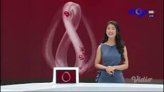 [VERTA ARLINSA] FIFA World Cup Qatar 2022 Highlight (16 Desember 2022)