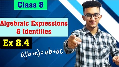 Algebraic Expressions and Identities | Ex 8.4 | NEW NCERT 2024 | Chapter 8 | Maths | Class 8