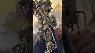 Gotta take care of my babies 😊 #taylorgang #breathe