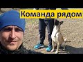 Подробно о команде рядом. Рядом уровень ПРО